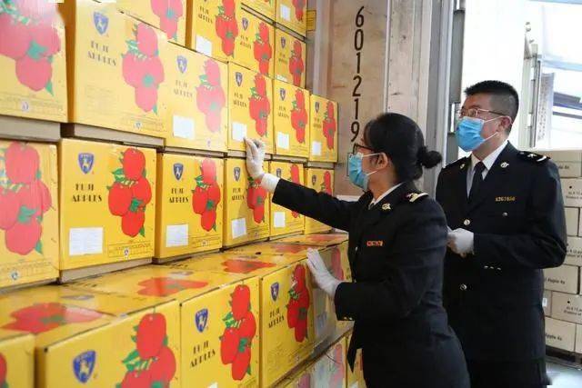 开云电竞网站:102亿元！龙口水果海外“圈粉”！(图3)