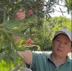 开云电竞网站:搞“副业”科普身边植物长沙45岁老板靠“硬核”知识走红