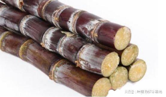 开云电竞入口:糖果能减脂?神奇的益纤优媛甘蔗多酚压片糖果
