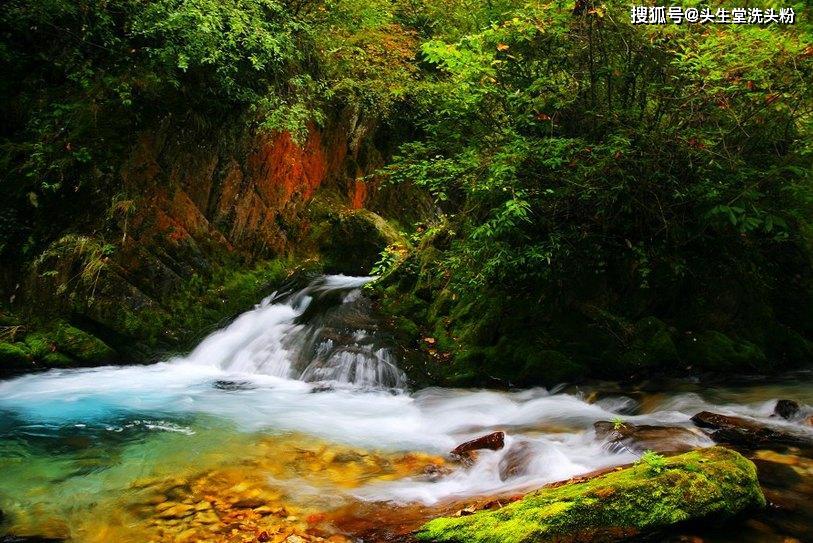 草本洗发粉——大自然对头皮的天然呵护开云电竞(图3)