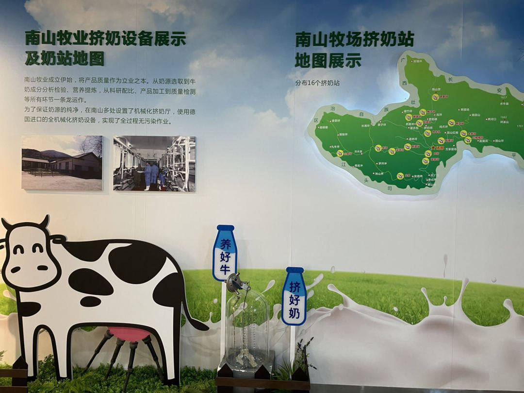 开云电竞南山比尼高溯源之旅感受放心好奶诞生背后的故事(图3)
