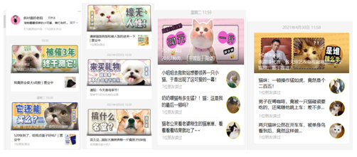 开云电竞入口:950亿宠物主粮市场生骨肉何时拥有姓名？(图3)