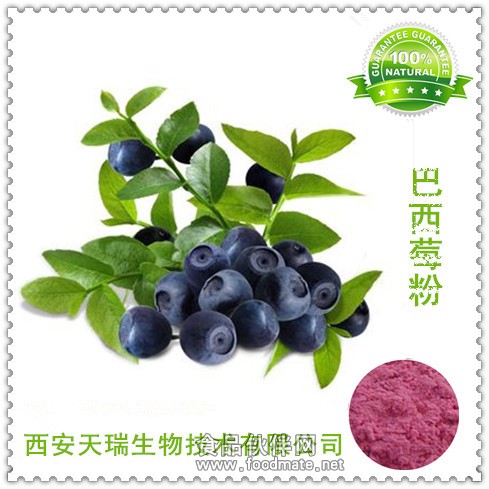 开云电竞入口:巴西莓粉喷雾干燥巴西莓粉速溶