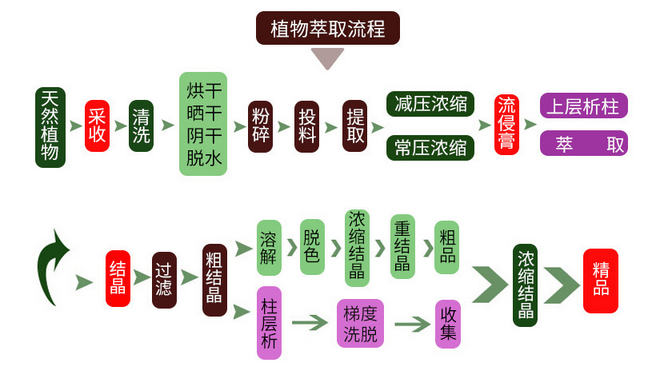 开云电竞释迦果粉水果粉水溶性粉斯诺特生物