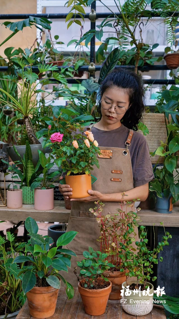 开云电竞入口:陈奇奇:“百草园”里的植物达人