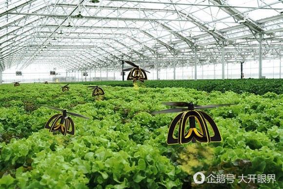 kaiyun开云电竞:小型无人机可以代替蜜蜂给植物授粉(图2)