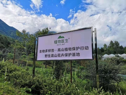 开云电竞app:植物医生设高山花卉保护基地生物多样性之旅全新起航(图2)