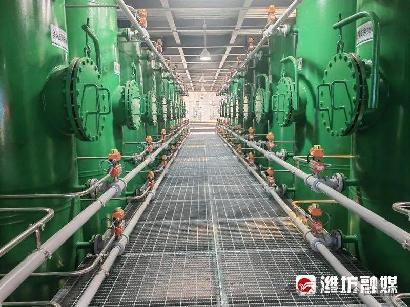 诸城：500亿级生物医药产业集群加速崛起！(图3)