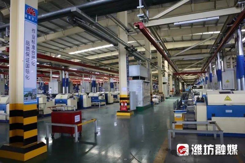 诸城：500亿级生物医药产业集群加速崛起！(图5)