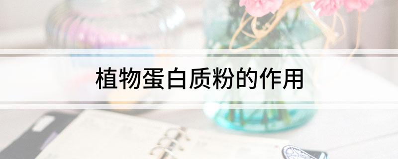 植物蛋白质粉的作用开云电竞