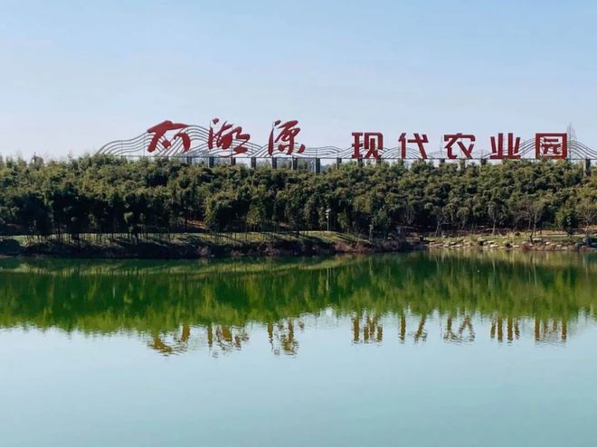 开云电竞网站:2021版天目雷笋你吃上了吗？有没有发现它越来越“水果”？10份天目雷笋给抱粉们尝鲜！(图3)