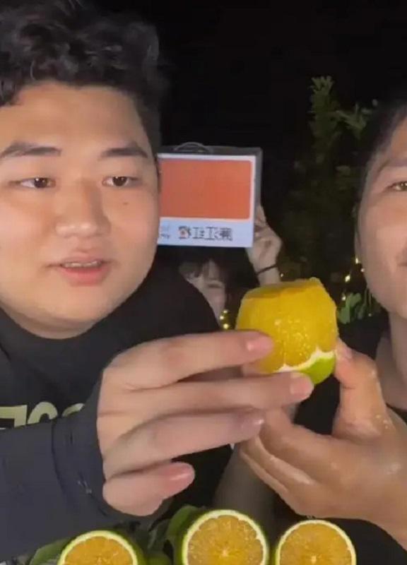 富裕了！全红婵家装修银色大门阔气两棵迎客松二楼安装护栏(图16)
