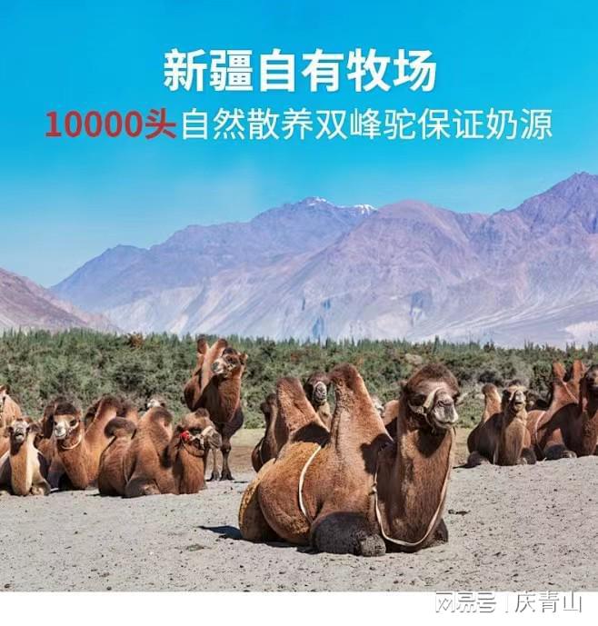 驼奶粉哪个品牌最好挑选驼奶粉的品牌秘诀(图4)