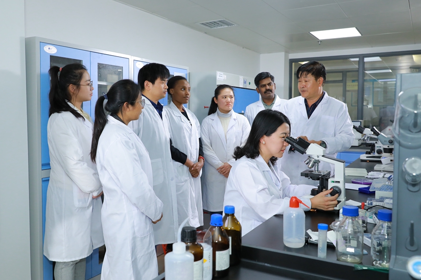 用植物讲述深圳故事(图3)