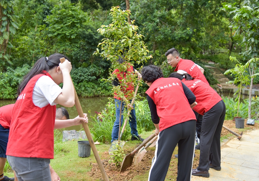 用植物讲述深圳故事(图6)