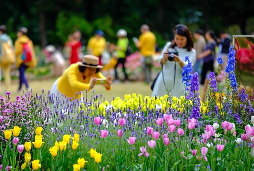 用植物讲述深圳故事(图5)