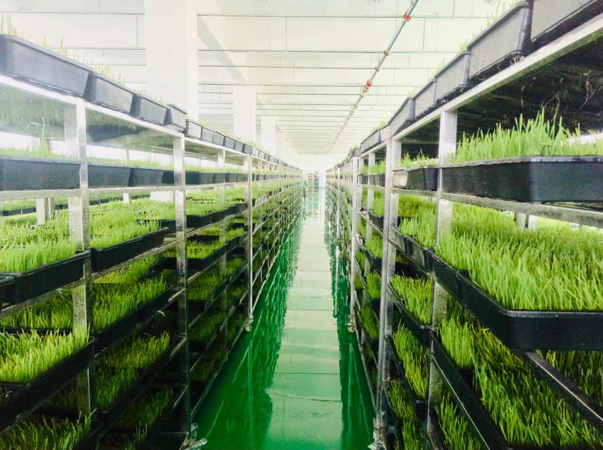 北京精准扶贫:绿山谷闭环锁定管道式造血扶贫(图3)