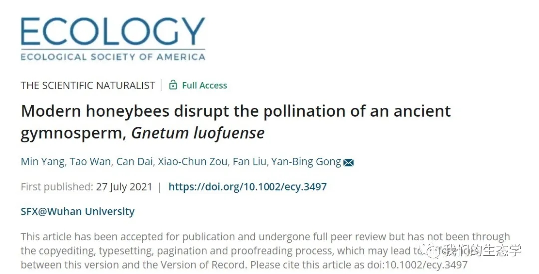 ECOLOGY“蜜蜂也吃霸王餐”龚燕兵课题组揭示蜜蜂盗粉对裸子植物的生态演化影响