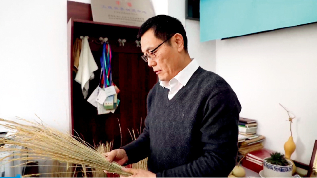 开云电竞:中国科学院植物研究所研究员刘公社：为地球修复绿色皮肤