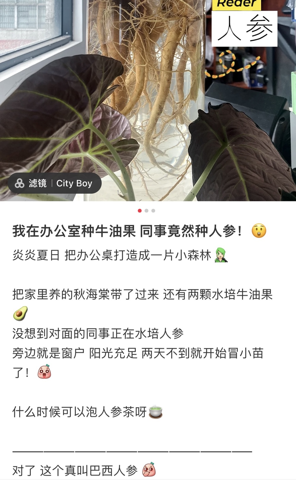 kaiyun开云电竞:这届年轻人“办公室种菜”上瘾！营养土销量暴涨网友：“买土”让我“吃土”(图2)