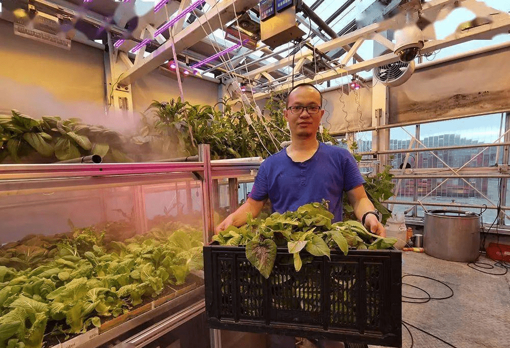 kaiyun开云电竞:这届年轻人“办公室种菜”上瘾！营养土销量暴涨网友：“买土”让我“吃土”(图5)