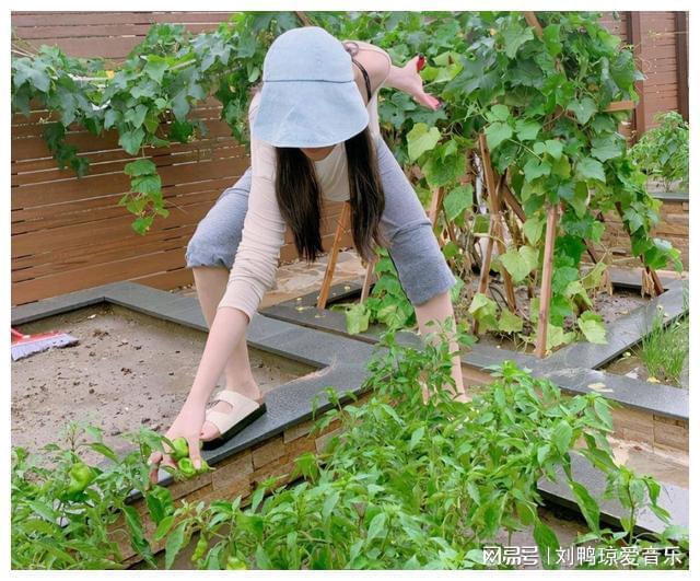 开云电竞张馨予晒出家居生活凭一菜园子圈粉百万网友：一看就不是摆拍(图2)