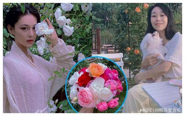 开云电竞张馨予晒出家居生活凭一菜园子圈粉百万网友：一看就不是摆拍(图8)