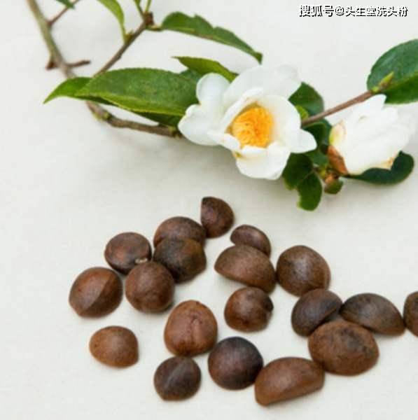 原生态洗头粉·纯植物·古方新作·一洗二养三护(图5)