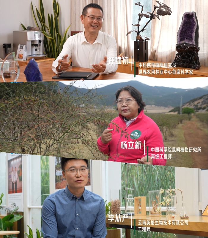 kaiyun开云电竞:content(图2)