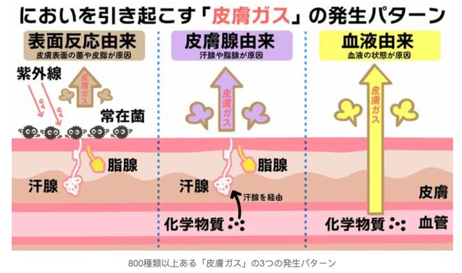 kaiyun开云电竞:“好感体味”自然散发日本专家体味改善方法分享(图2)