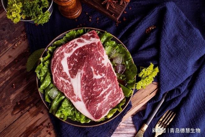 开云电竞:何不食肉糜？植物肉的市场究竟有多大(图5)