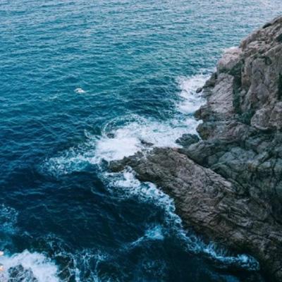 开云电竞欢迎来到今晚四不像生肖图(图2)
