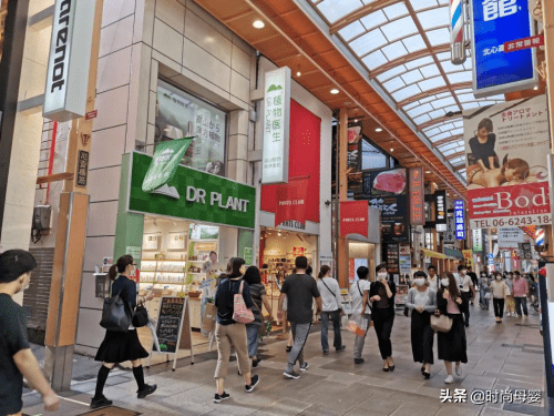 提升海外认知度植物医生国际化驶入“快车道”