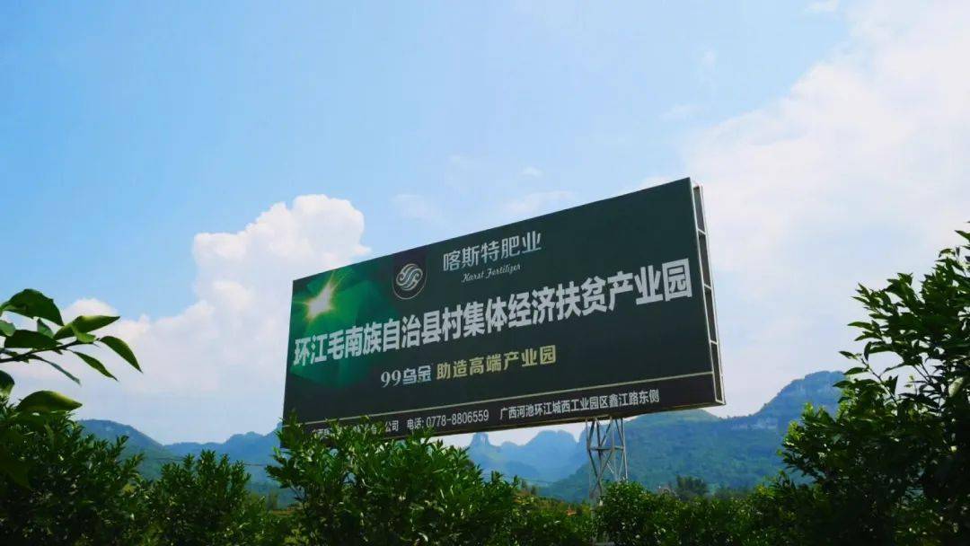 环江又一特色水果引种成功口感上佳！