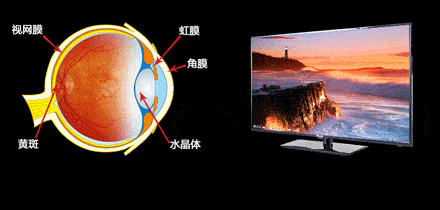 一天18个小时离不开电子屏幕谁来救救我的眼睛？(图5)