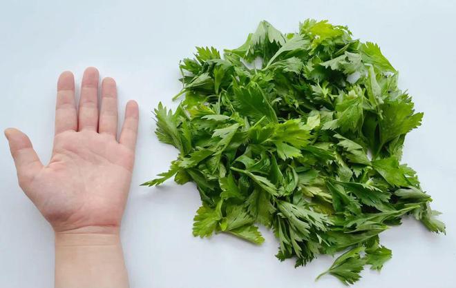 一天18个小时离不开电子屏幕谁来救救我的眼睛？(图10)