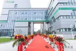 印象拓丰：从春天再出发(图7)