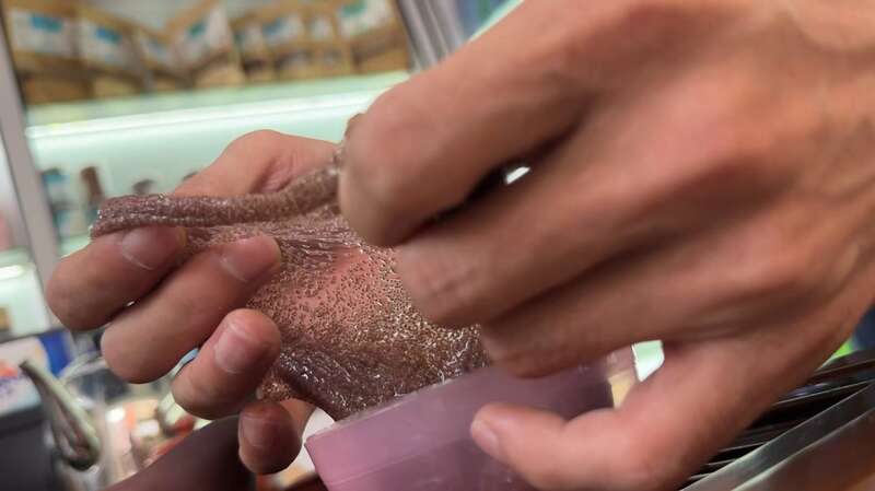 开云电竞入口:“海藻颗粒面膜”骗局调查：已畅销多年捏造实际成分菌落大多超标(图4)