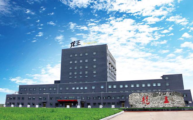 开云电竞:创新百味奖丨龙王致新：专注豆浆研发二十余年实现100%植物蛋白(图3)