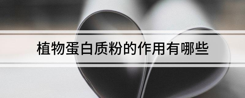 植物蛋白质粉的作用有哪些
