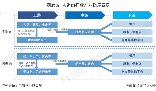 开云电竞入口:新研究证明用植物蛋白食品替代动物食品：可以显著延长预期寿命并减少温室气体排放【附人造肉技术赛道观察图谱】(图2)