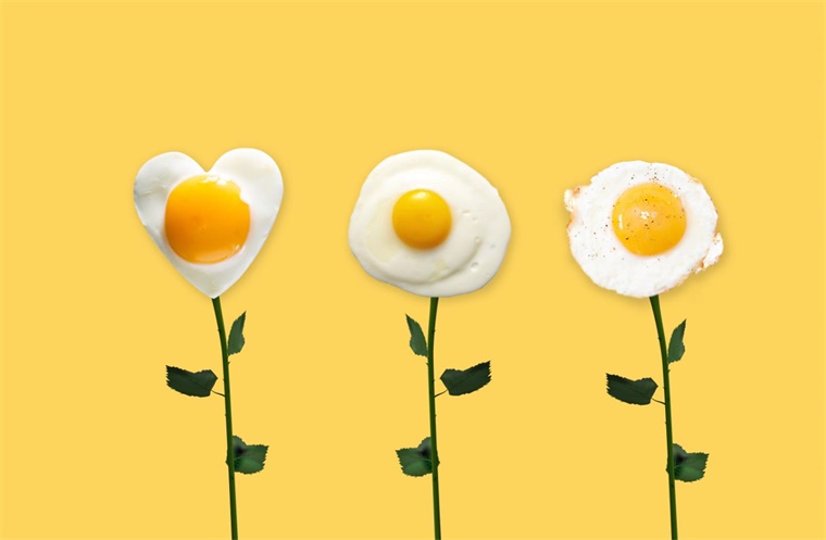 开云电竞入口:新研究证明用植物蛋白食品替代动物食品：可以显著延长预期寿命并减少温室气体排放【附人造肉技术赛道观察图谱】