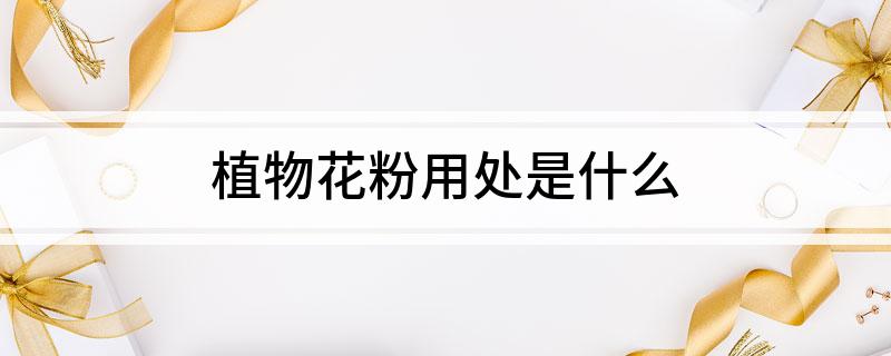 植物花粉用处是什么