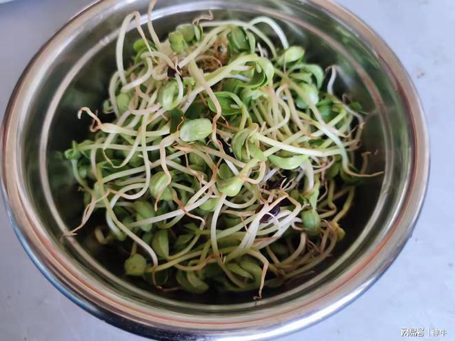 kaiyun开云电竞:人到中年要远离4种比肉“嘌呤还高”的蔬菜可别不当回事(图4)