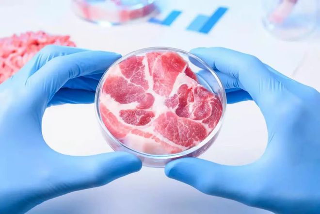 开云电竞可持续和有机价值：植物蛋白、人造肉和可持续乳制品(图2)