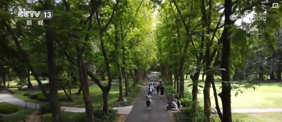 植物“新面孔”频亮相开云电竞葱葱绿意融入百姓生活(图3)