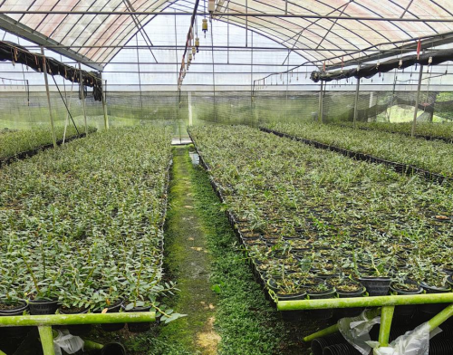 植物医生线下门店护肤力量方程式：“植物原料+国家级科研开云电竞”(图3)