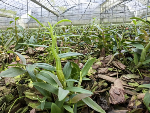 植物医生线下门店护肤力量方程式：“植物原料+国家级科研开云电竞”(图2)