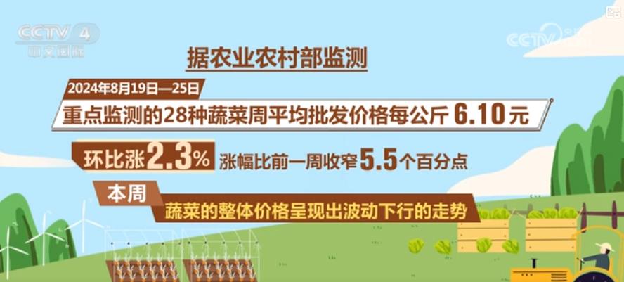开云电竞入口:蔬菜价格明显回落多措并举拎稳“菜篮子”(图2)