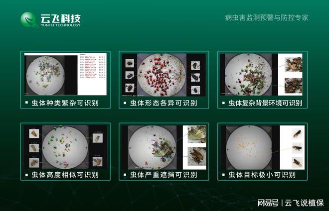 开云电竞app:智慧果园新选择：物联网虫情测报灯让管理更智能(图3)